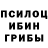 Псилоцибиновые грибы Cubensis Ben Echols