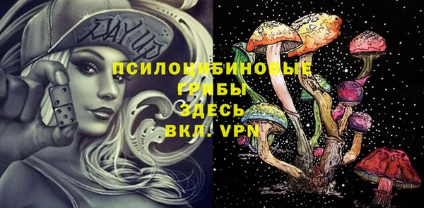 гашик Верея