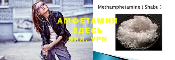 гашик Верея