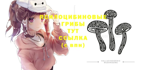 гашик Верея