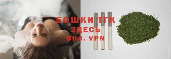 гашик Верея
