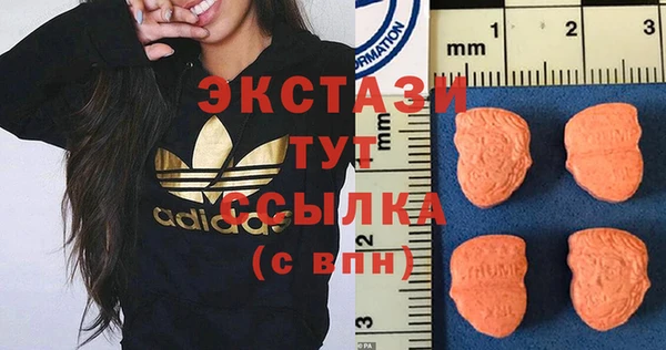 гашик Верея