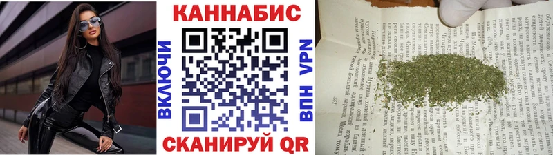 Марихуана сатива  закладки  Вышний Волочёк 